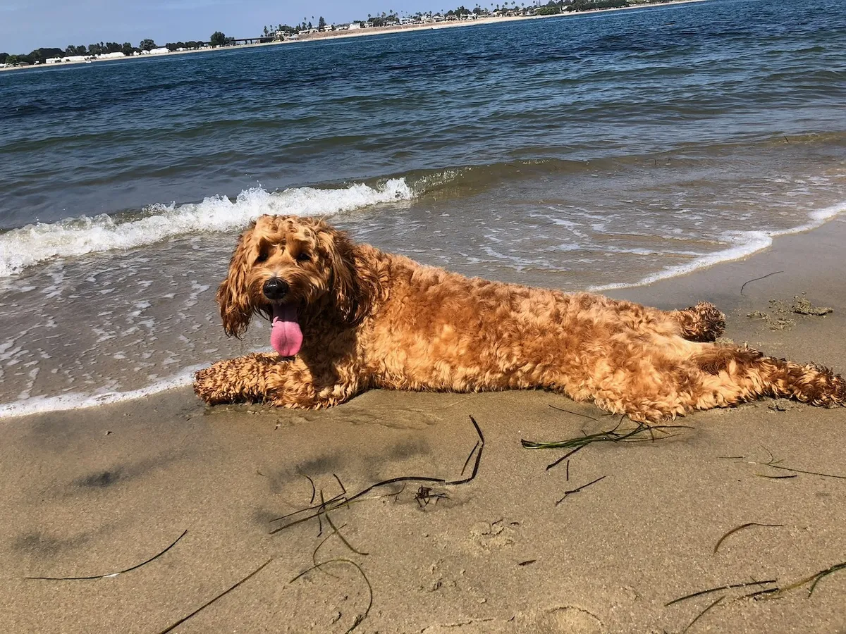 9D444393-A05D-4C05-9AFA-FDE88DF21043