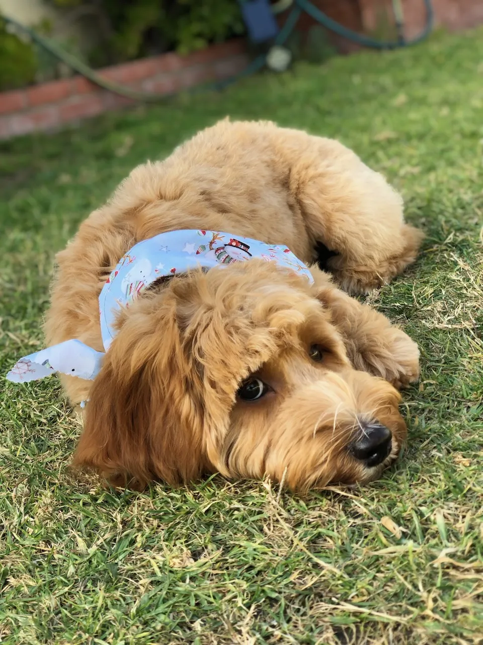 A653DAE8-F288-480A-AAAC-18D87693A01C