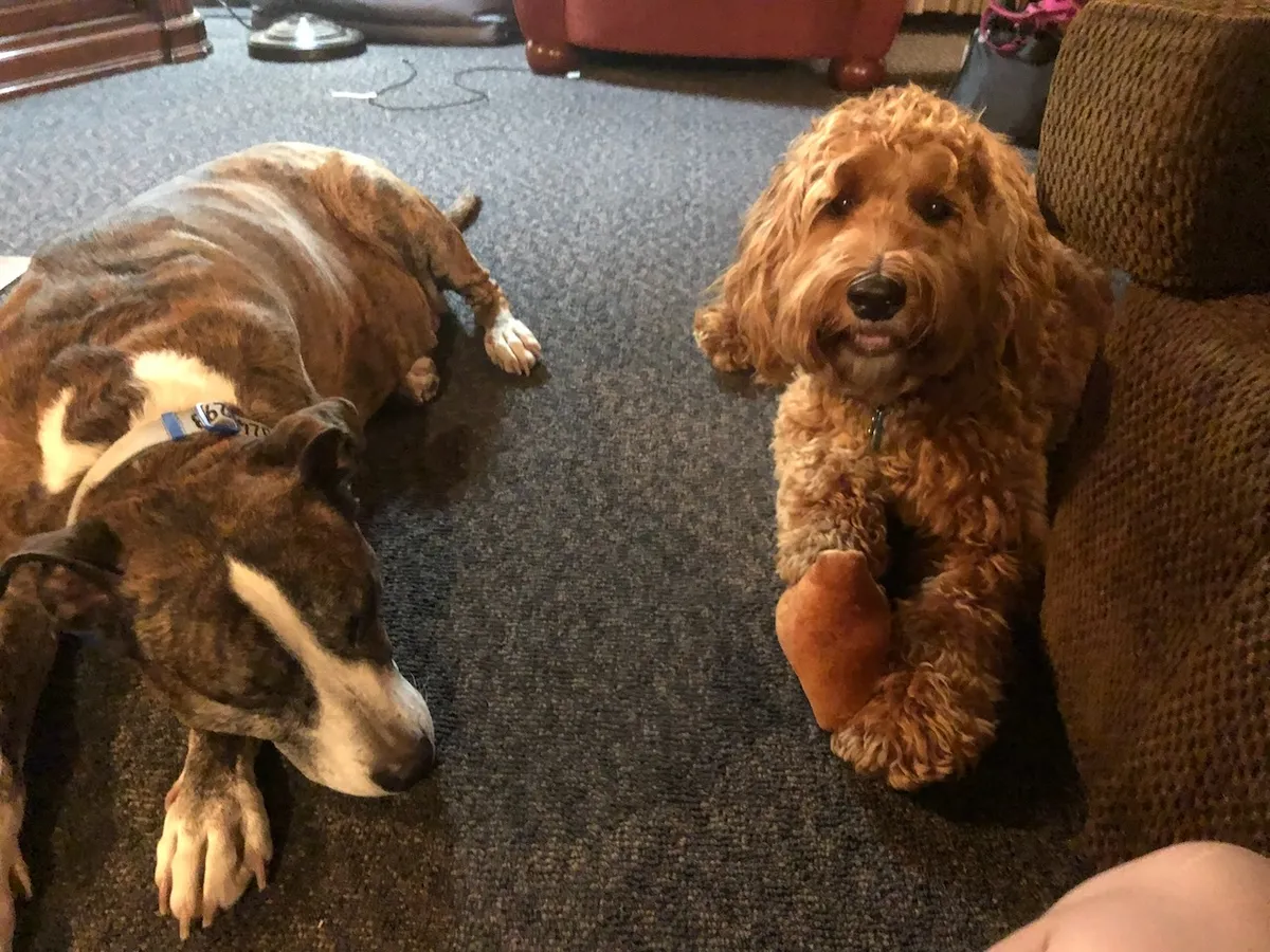 B25E4E2E-A82F-4A35-8E42-E4855BC69521