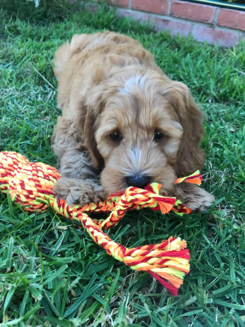 B47889D6-BDBD-47D0-AB90-F4AE415827B4