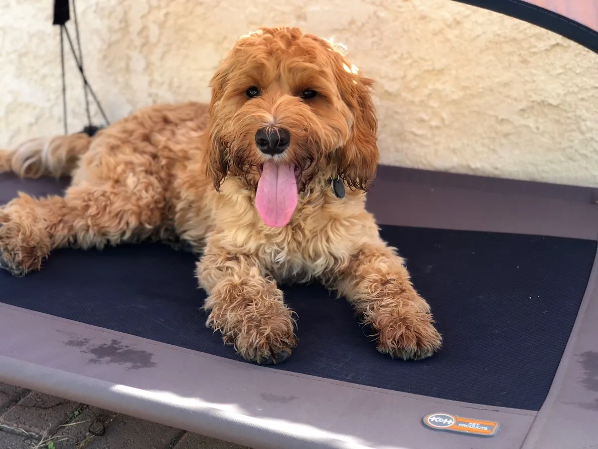 B7BE7A7C-1018-4B29-931F-77301F023993