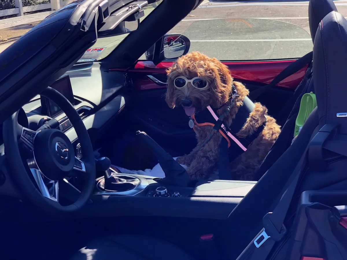 BAF83174-68E9-409C-875E-E1B8279FEF22