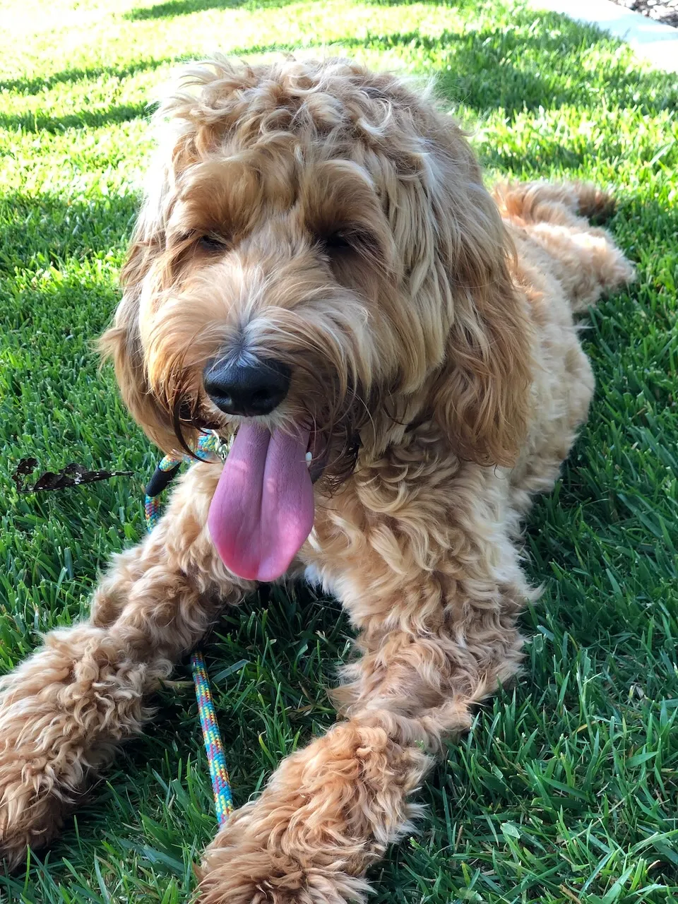 BC65E087-A5C1-43F0-8A77-88E1EB1DC391