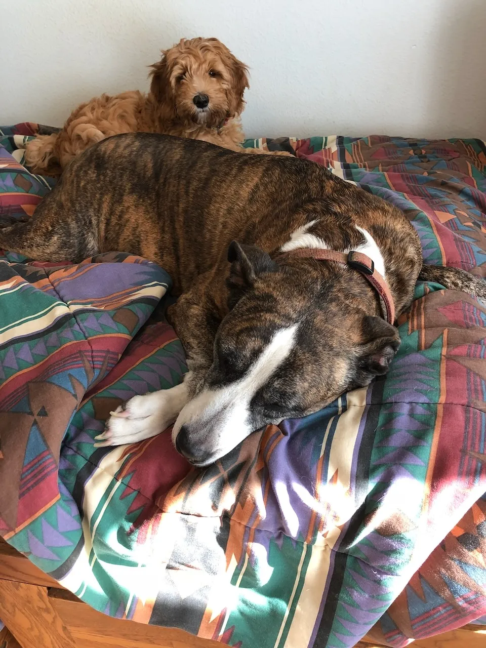 C2E83EE2-DAEC-41A6-B961-D45A9CB0C083