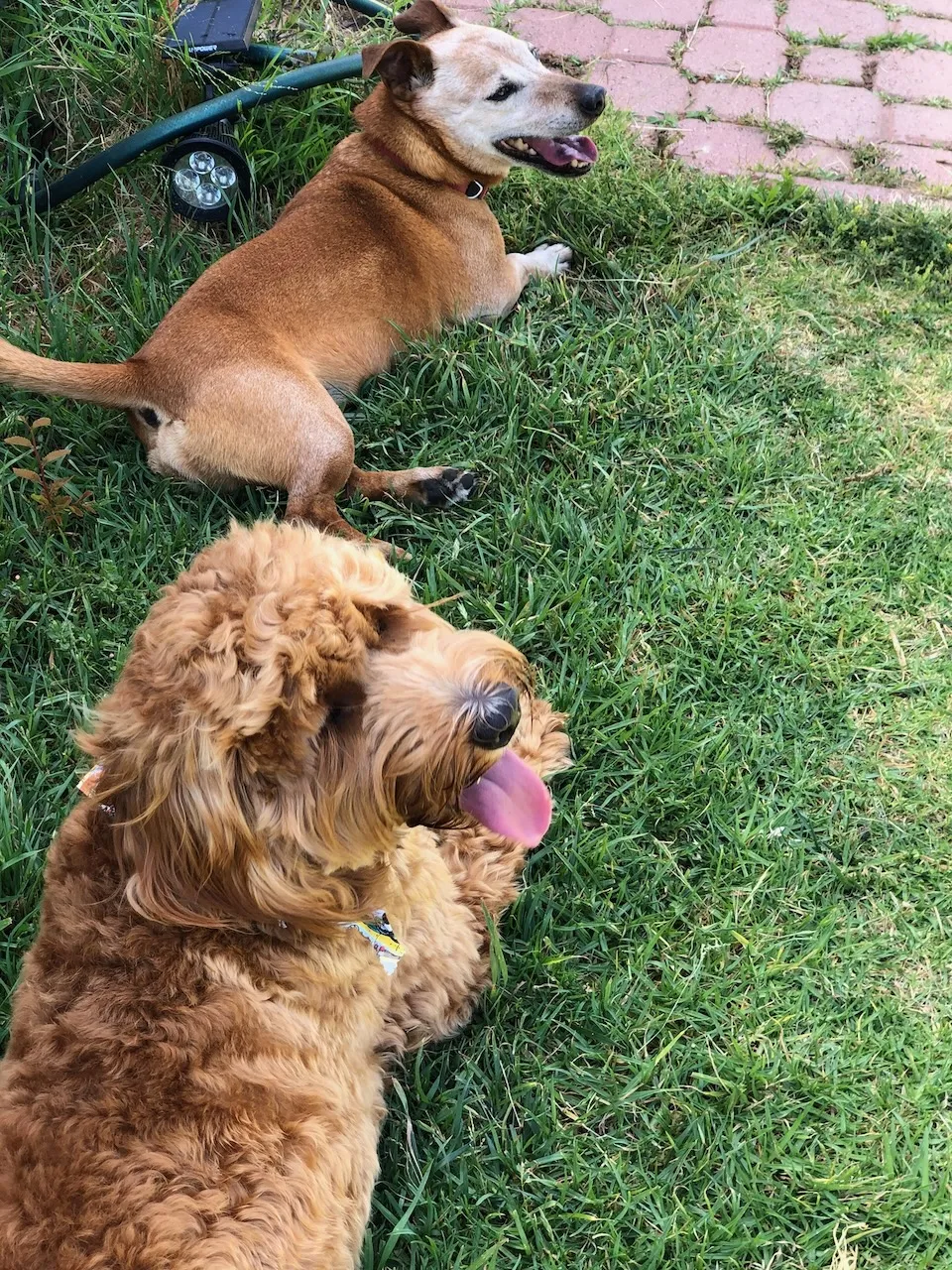 C4A9EF59-1BA9-4475-B28E-786623EA72BF