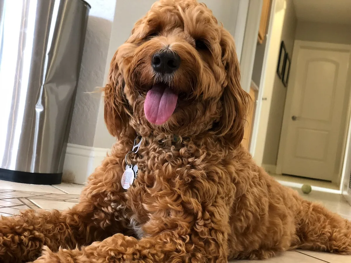 C8AB8657-4B2E-4CDA-83B8-8450DF5621FD