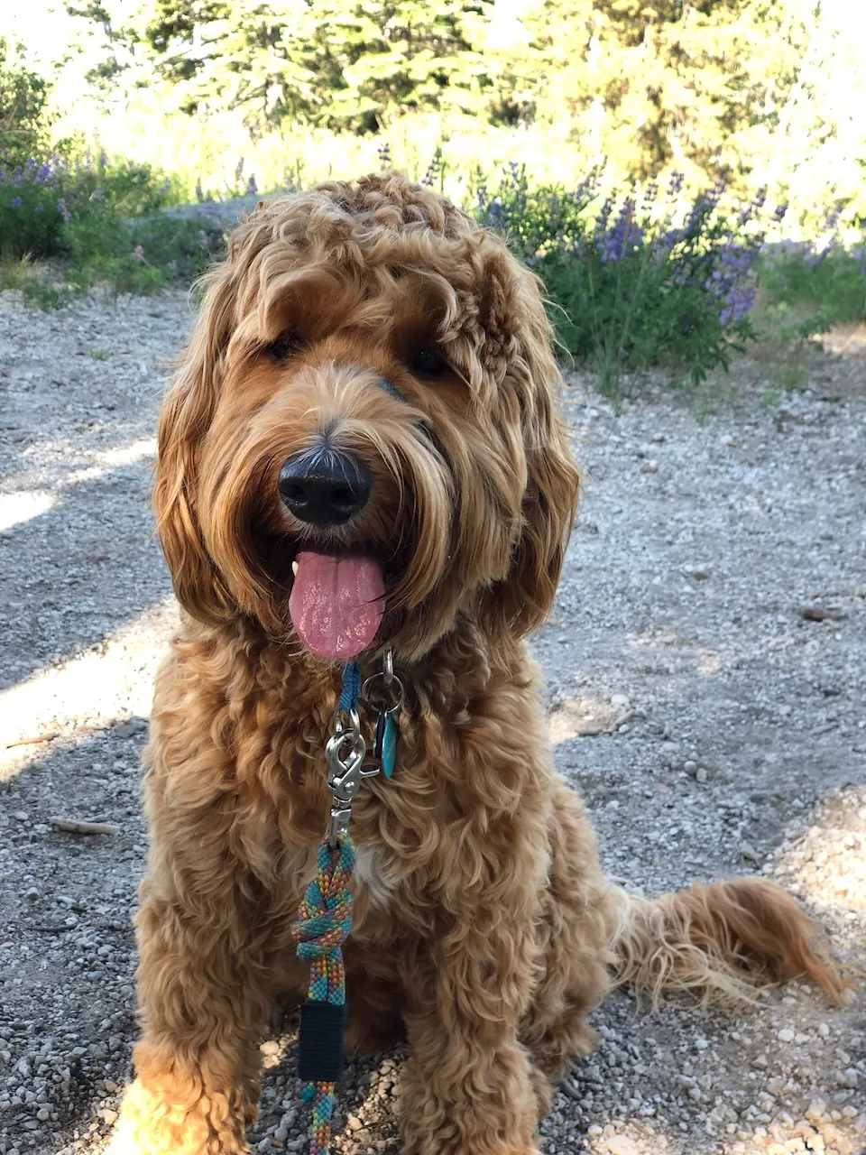 D0C17DA0-37A4-42CB-92C2-AB310C4FB2AD