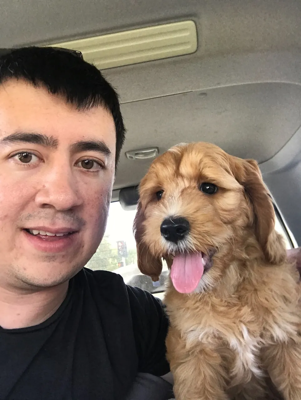 D0F942CD-CBB8-4055-8294-C933364528EA