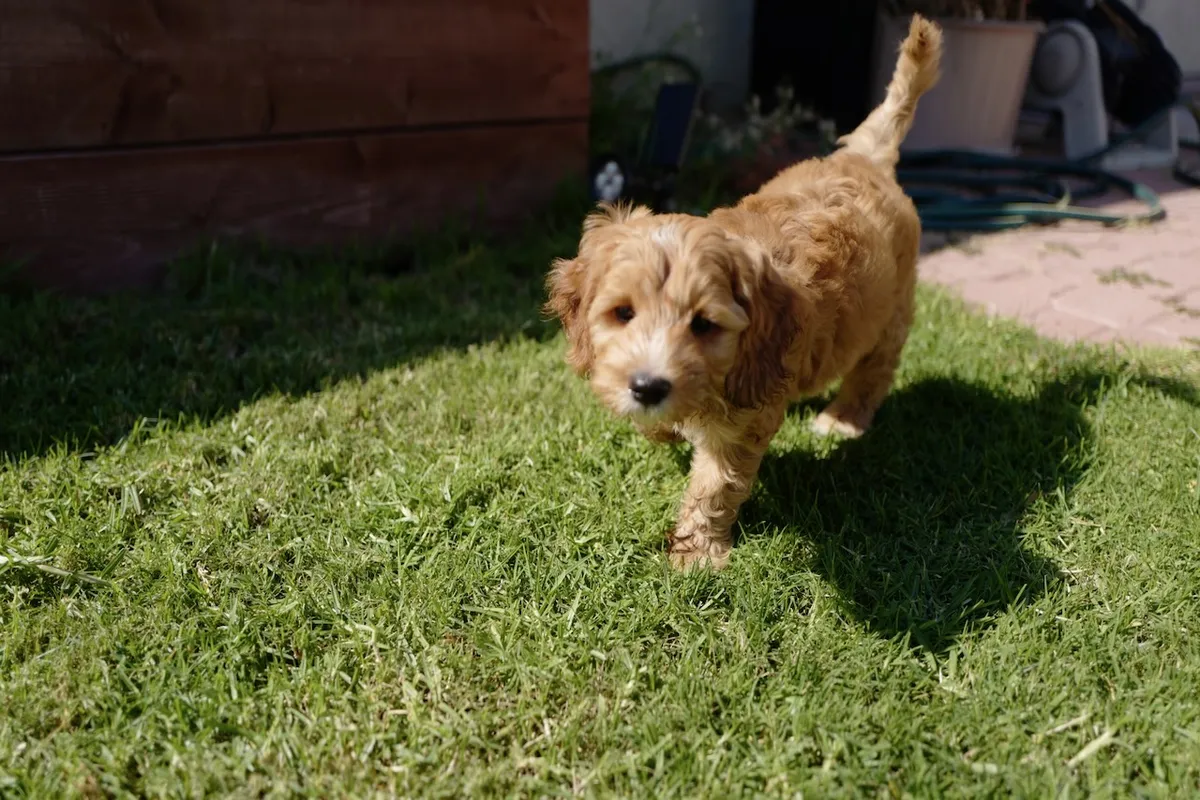 EC8B8750-866D-4677-BA84-E4EE520E8372