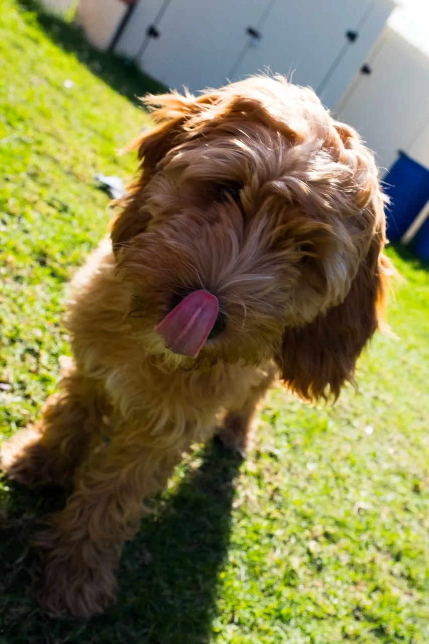 EF5590AA-80B9-404B-ACE2-87951D601982