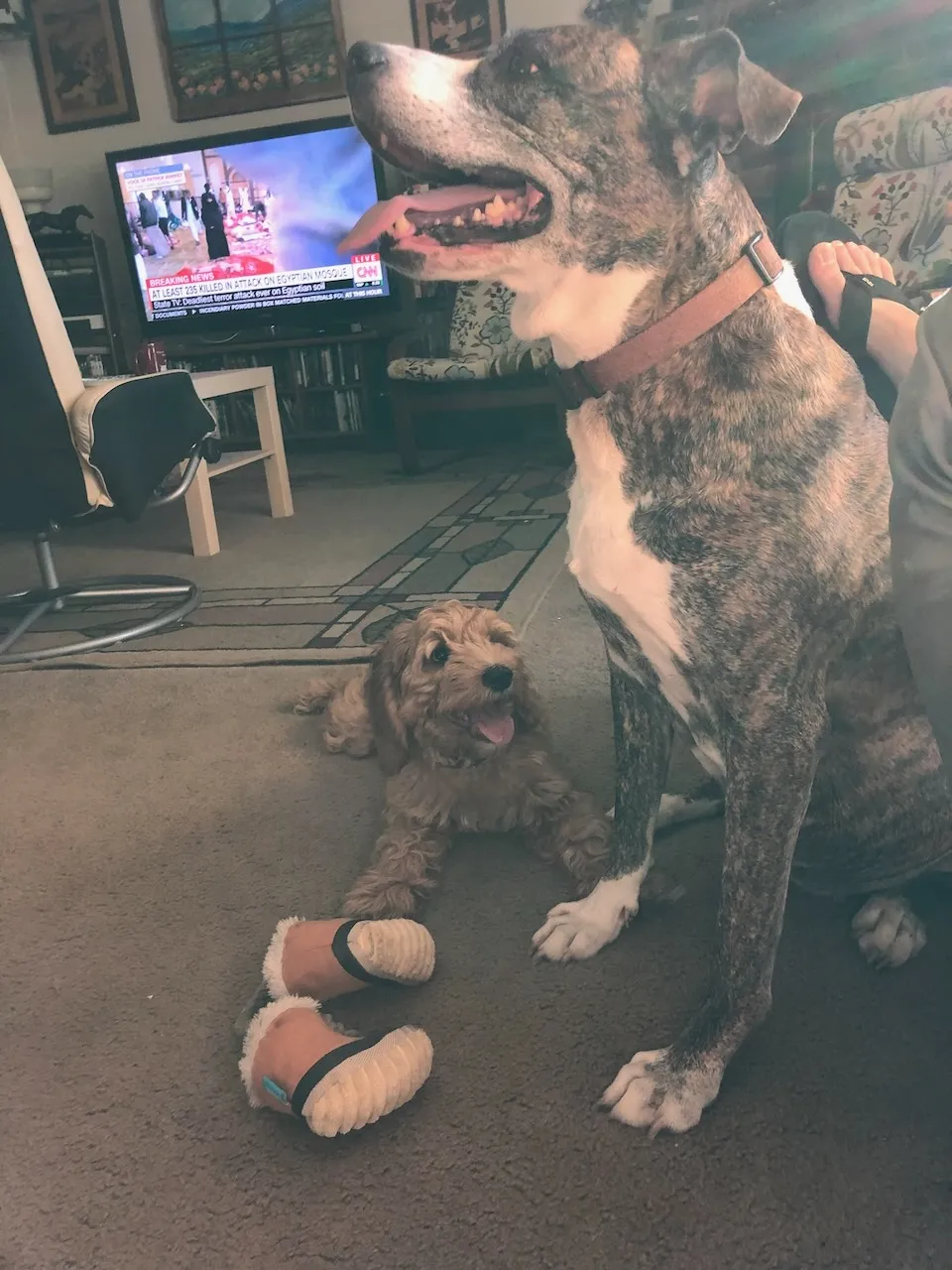 FB12D6FD-AB13-44E0-87FA-6C726FF9B409