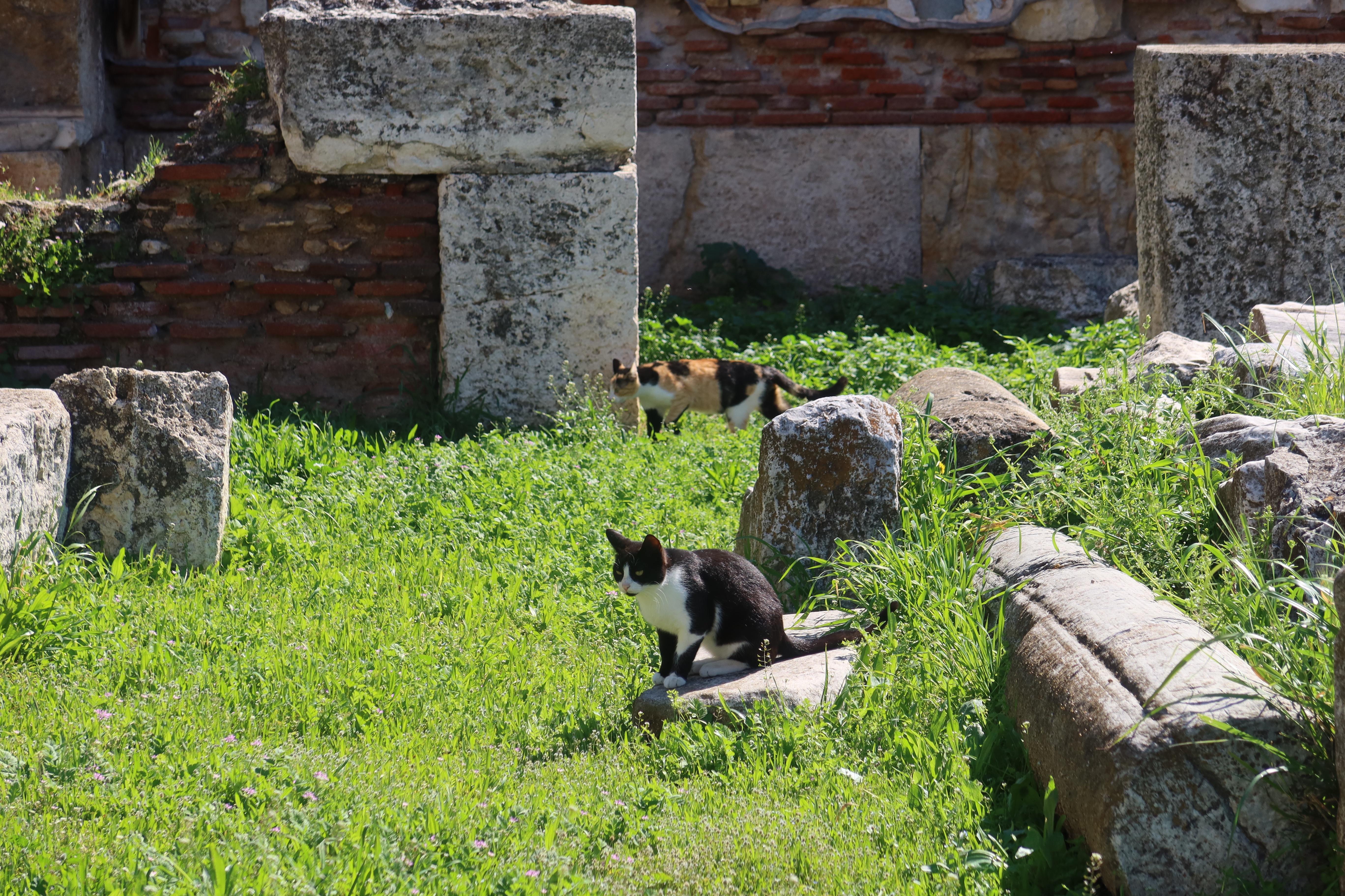 IMG_3756_Original