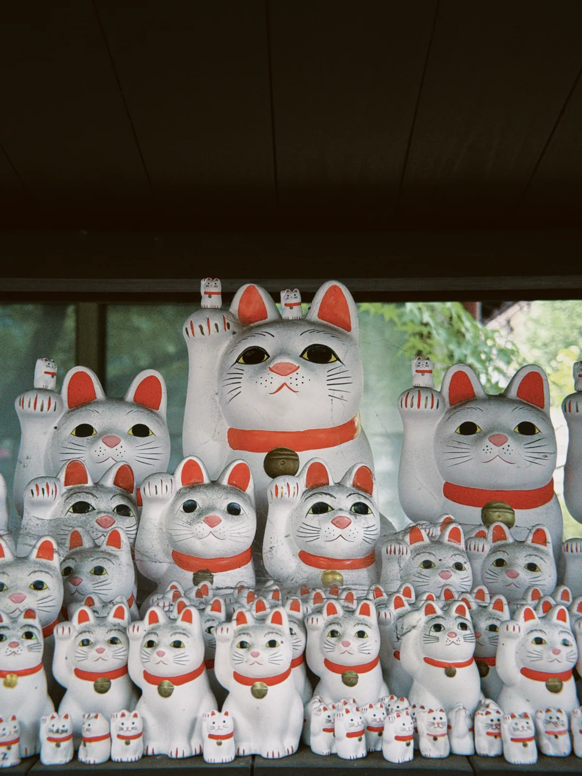 cat temple in tokyo