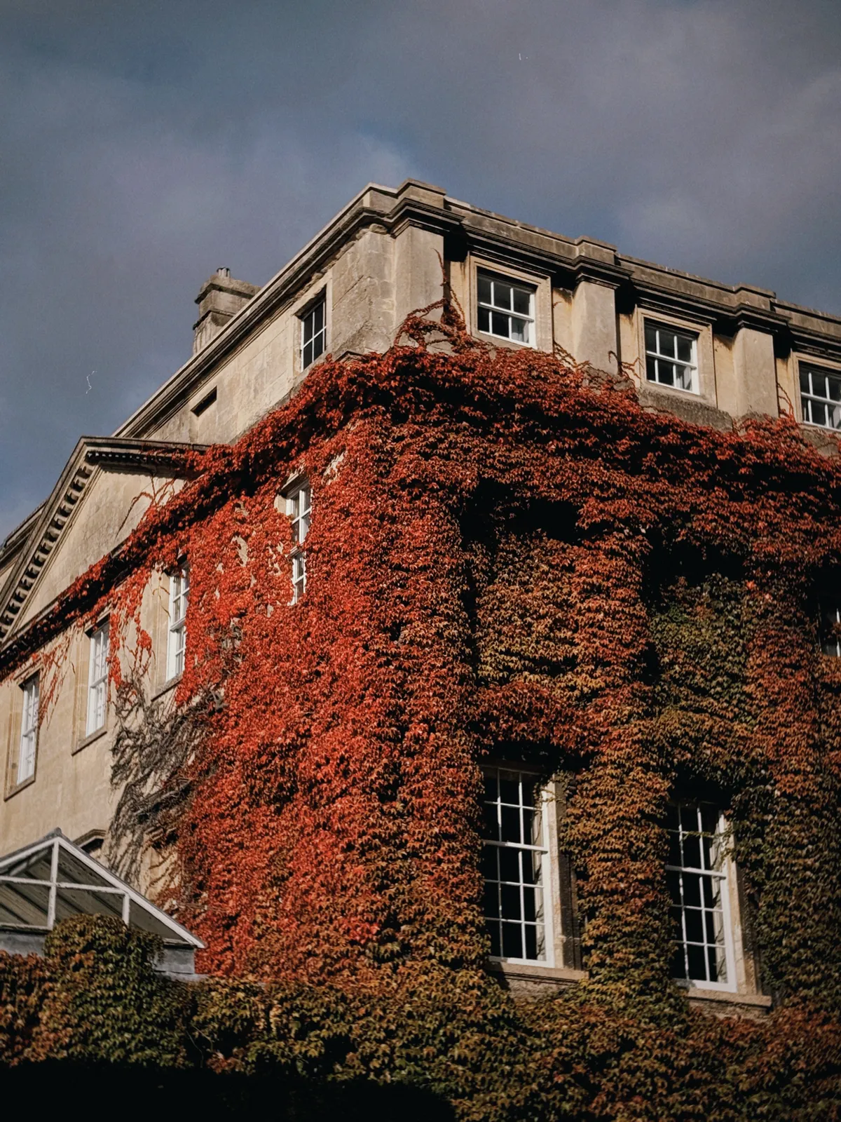 The corner of a stone house almost entirely covered in deep red and green autumn ivy, its sash windows peeking through, against a dark stormy sky
