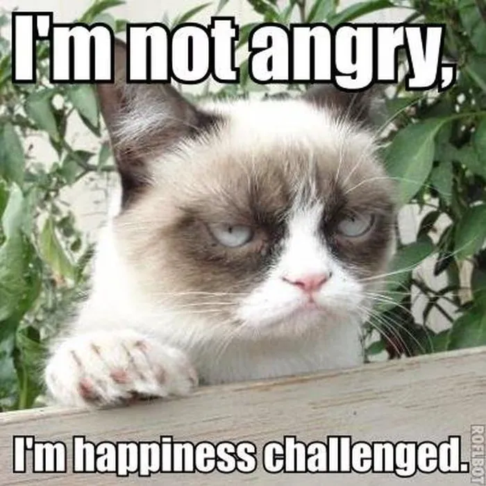 Grumpy Cat says: I'm not angry, I'm happiness challenged