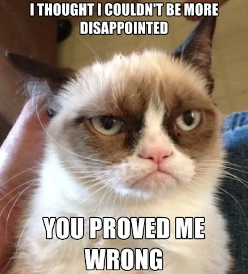 Grumpy Cat says: I thought I couldn't be more disappointed; you proved me wrong