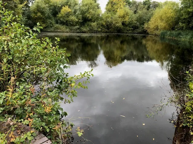 Mill pond