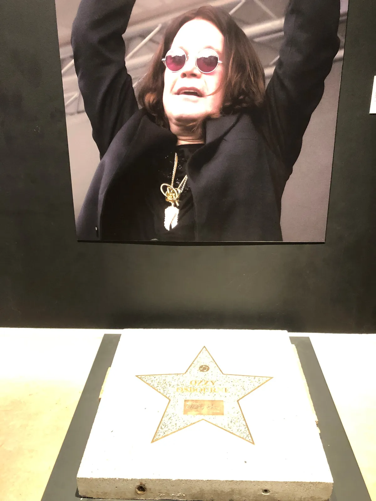 Museum Ozzy3