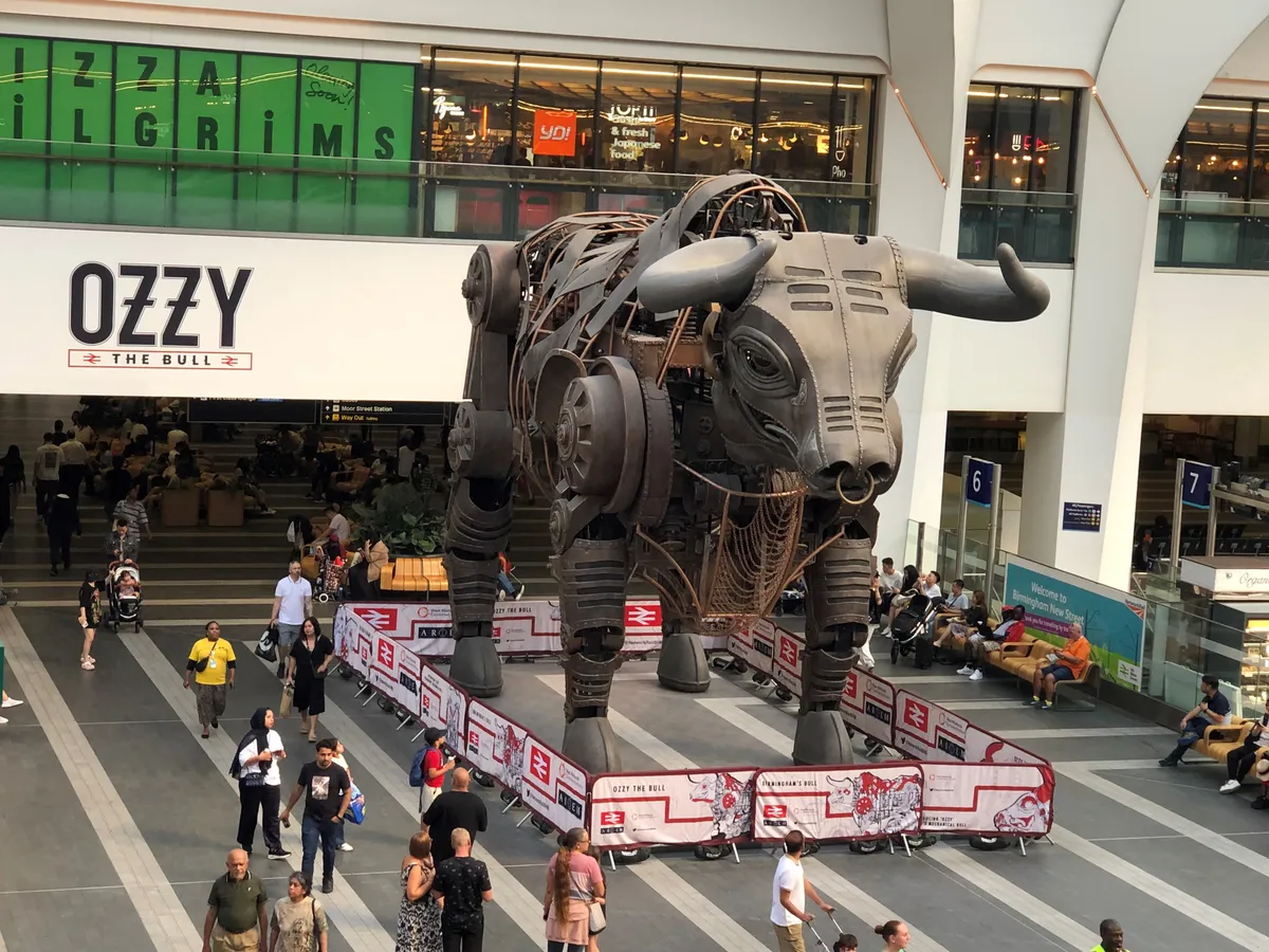 Ozzy the bull
