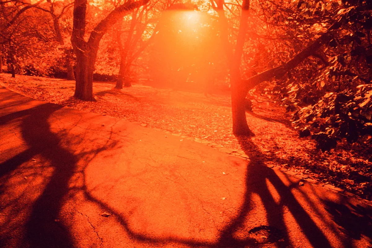 I think this is my favourite shot. I loved the shadows. I was spooked by how the tree shadows laid on the footpath.