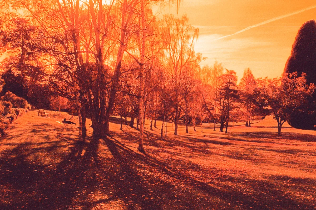 Lovers in parks has to be the best sight in the entire world.
