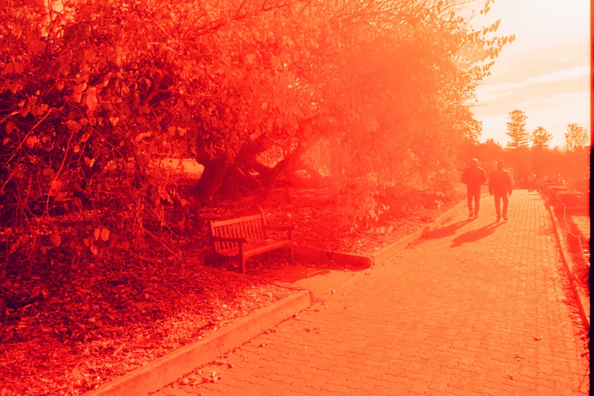 This is my reddest photo. Strangely, the 2nd last frame on this roll of film. One could say it was indeed like physical redshift as it decreased in frequency but increased in wavelength.