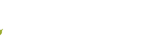 animation of flowing eucalpytus leaves