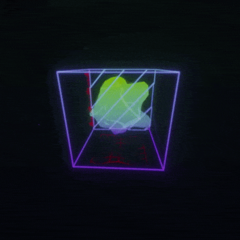 giphy-downsized
