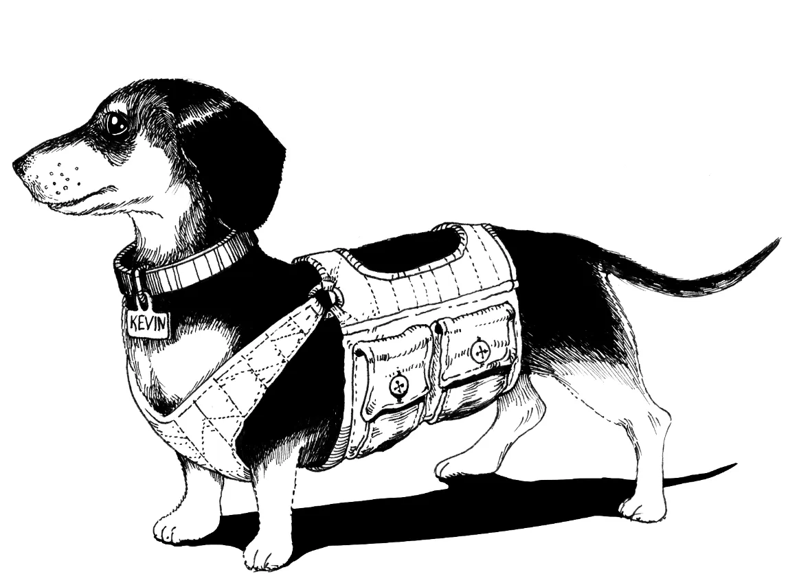 doggo_resize