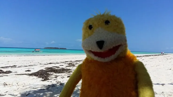Flat Eric on a beach on Zanzibar