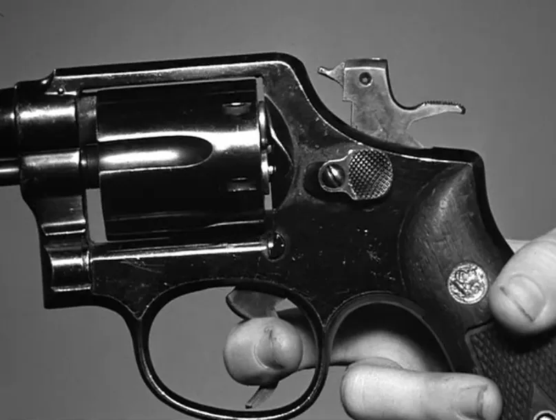 gun1