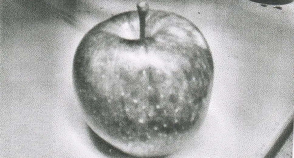 apple