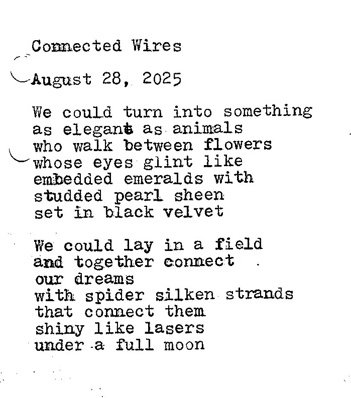 connected wires