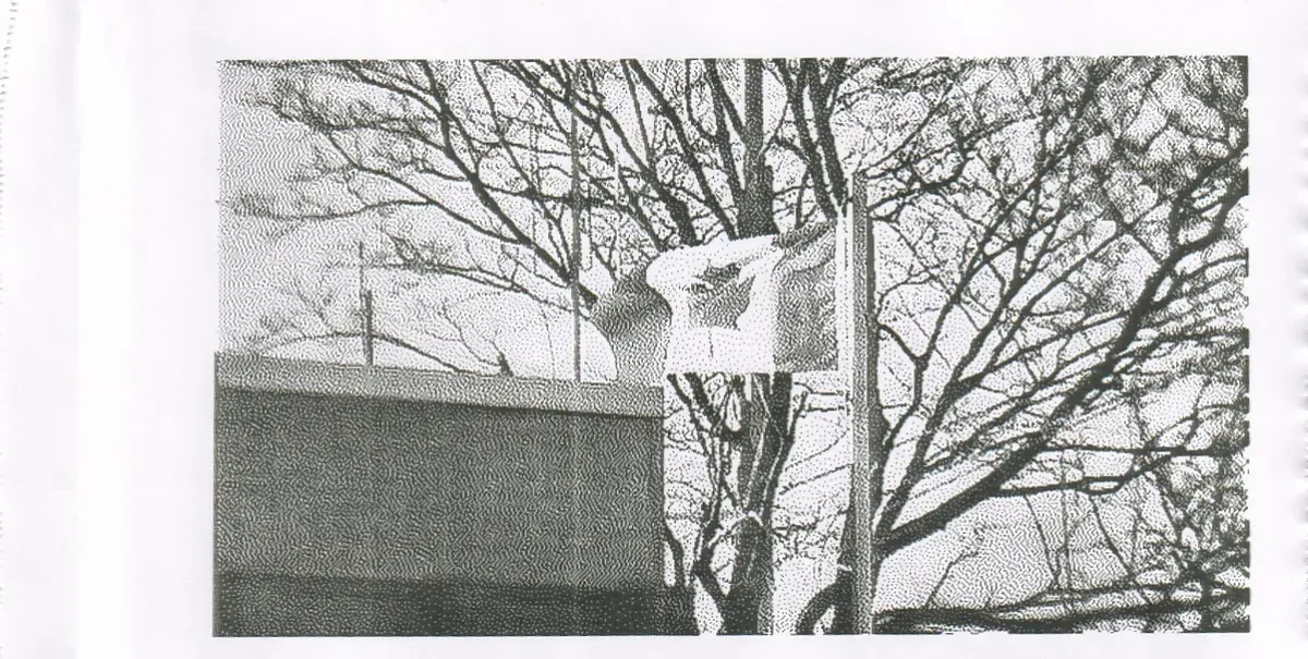 flag