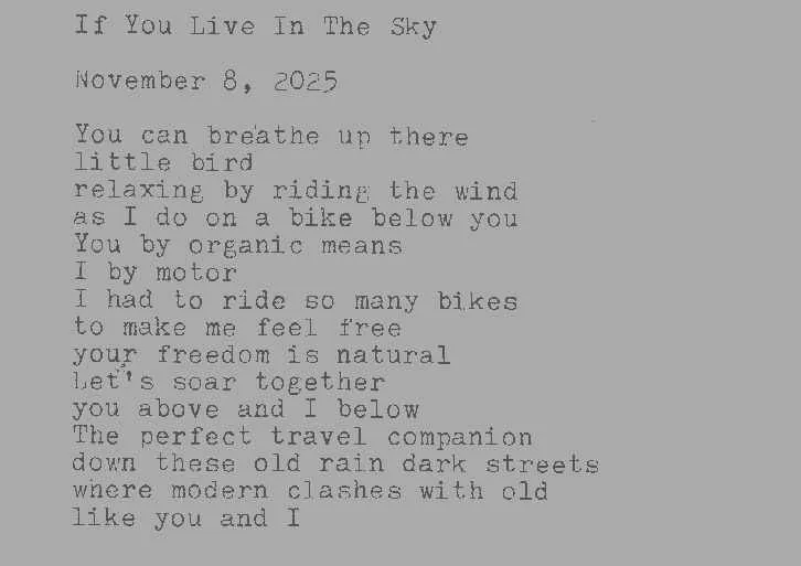 ifyouliveinthesky