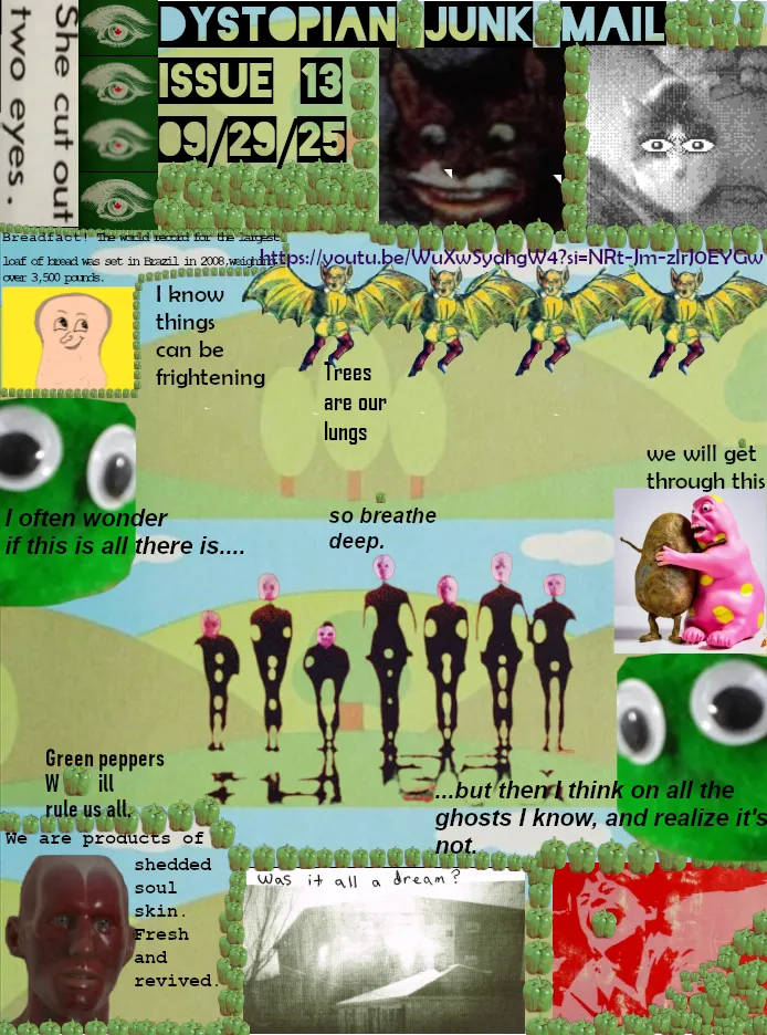 issue 13