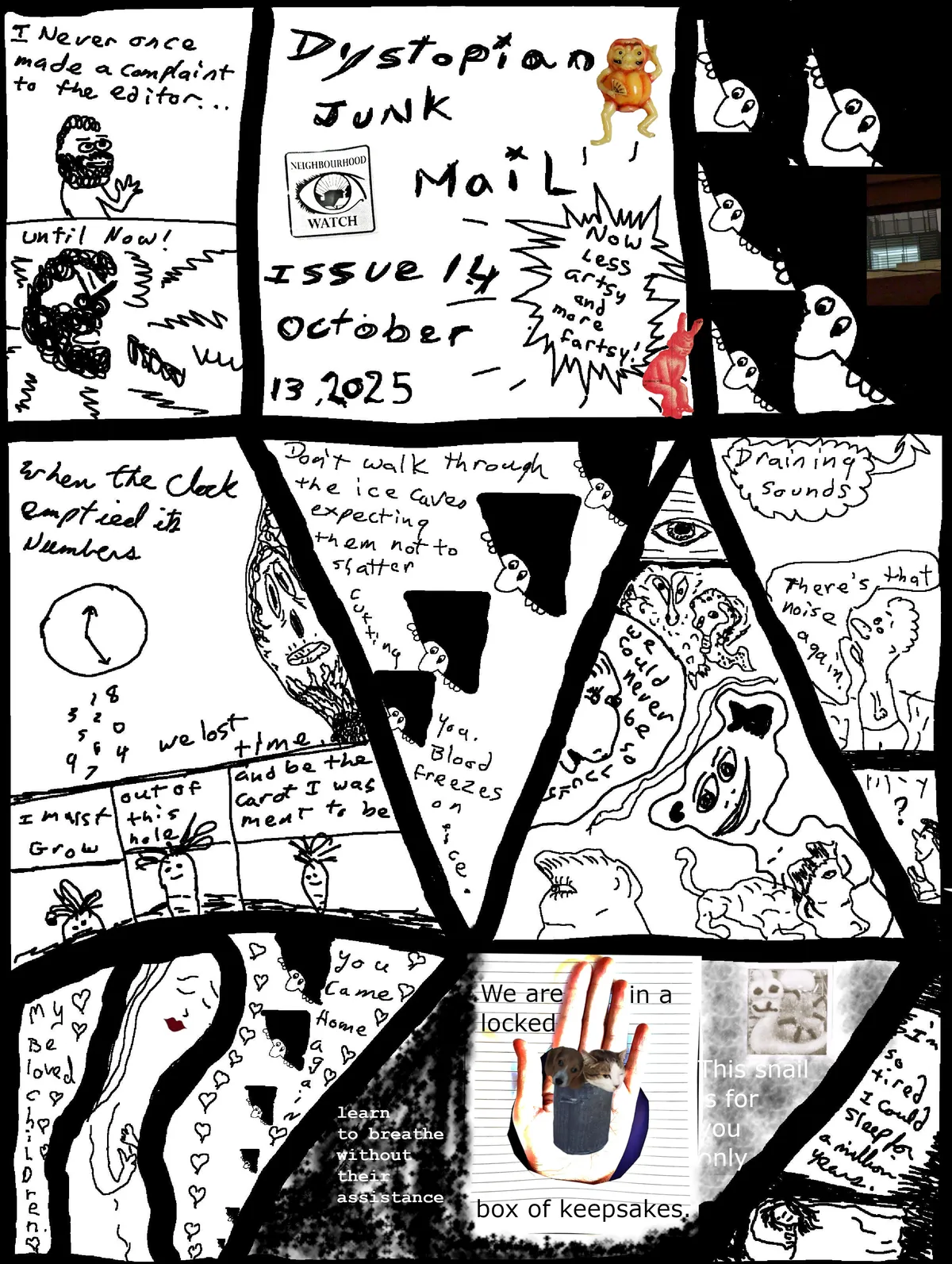 issue 14