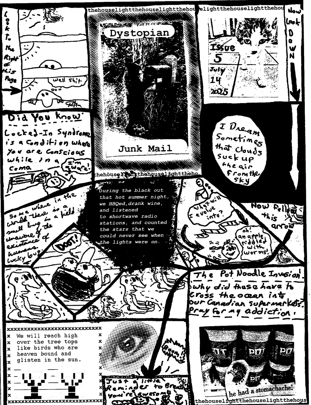 issue 5