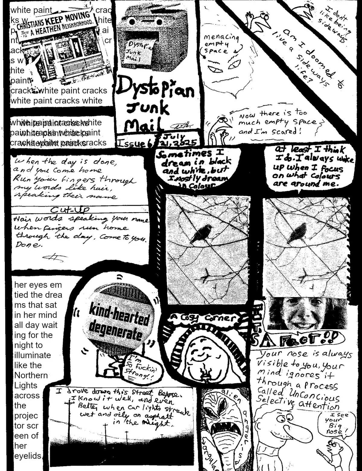 issue 6
