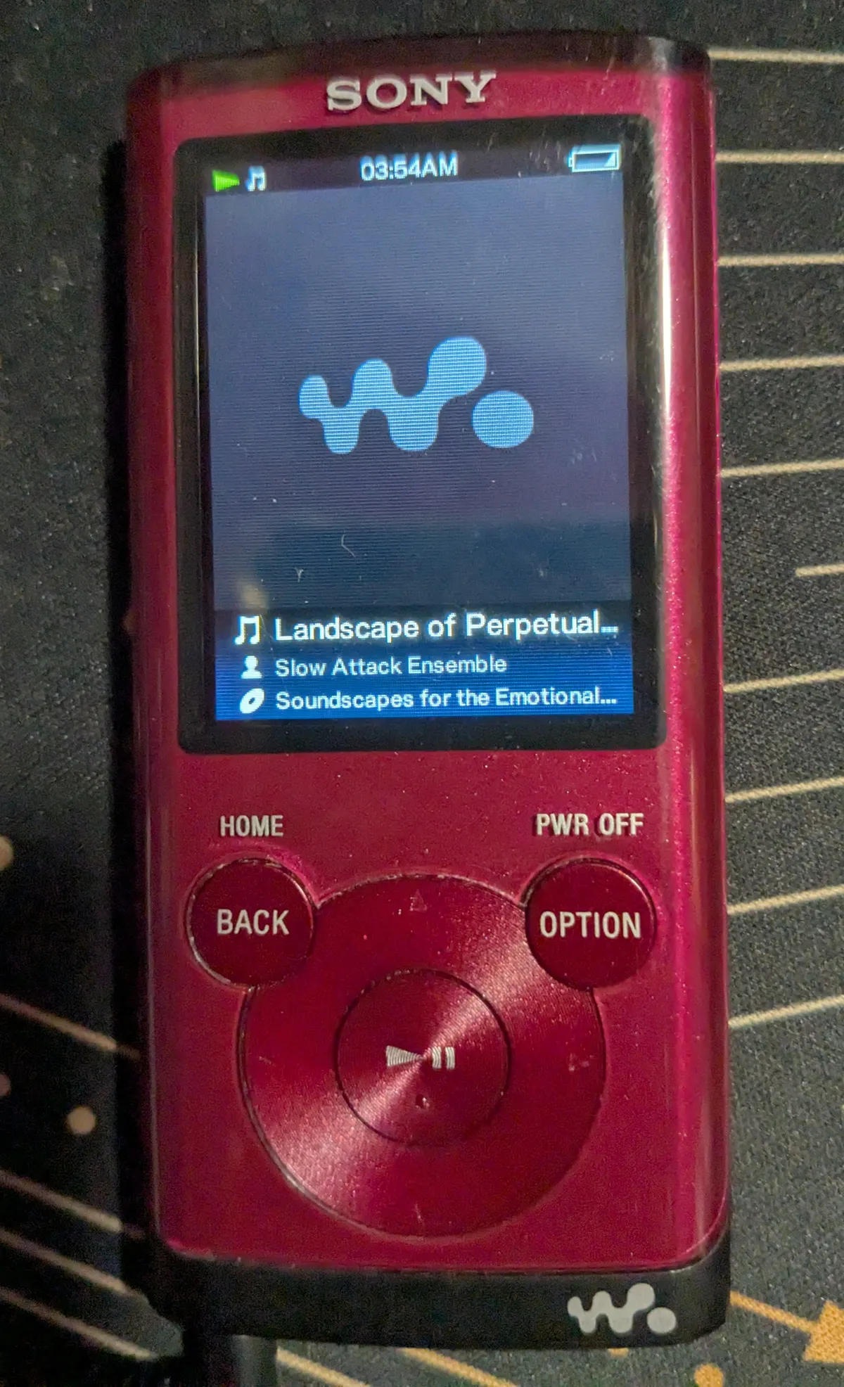 PXL_20250811_065119698