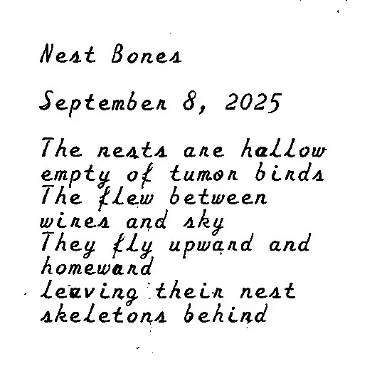 nestbones
