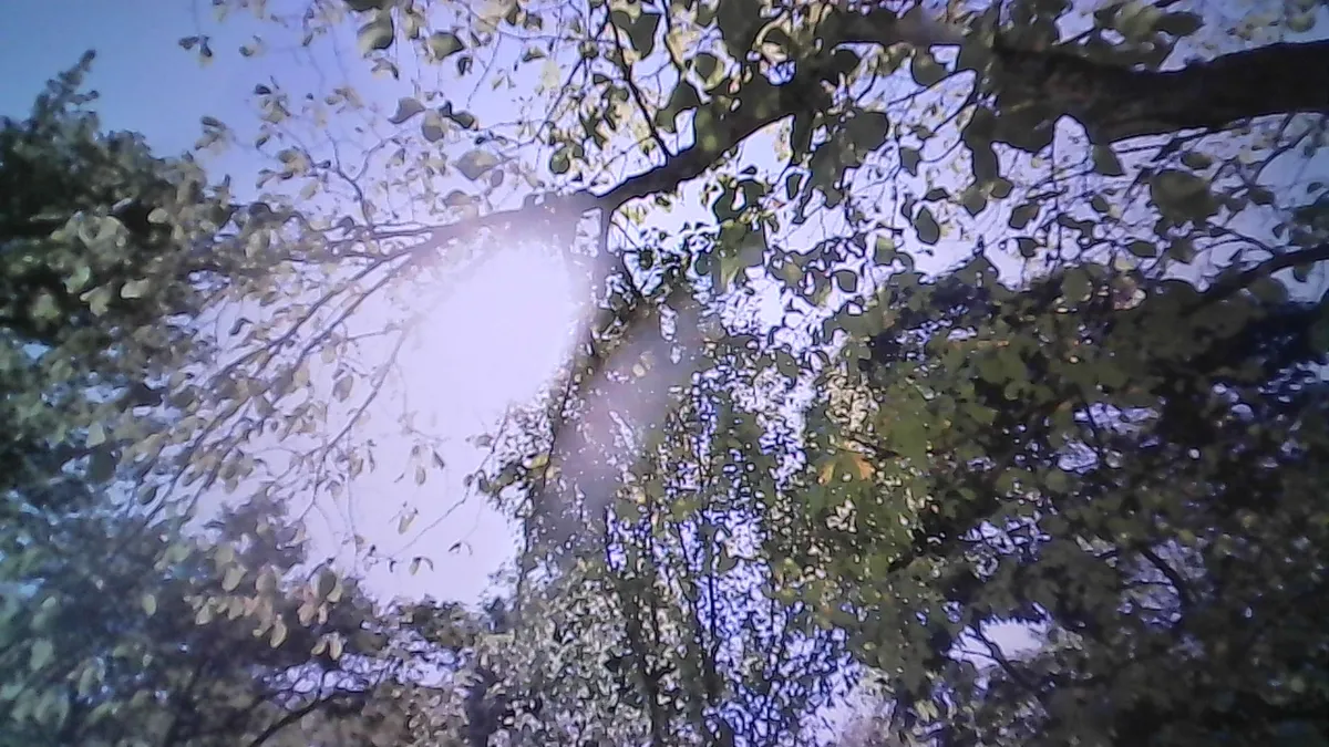 skysn