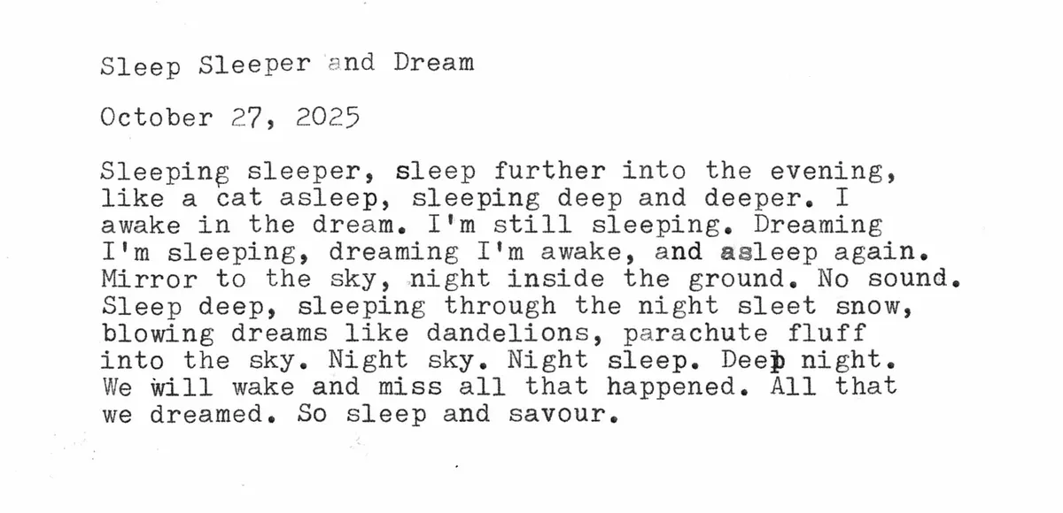 sleep sleeper and dream