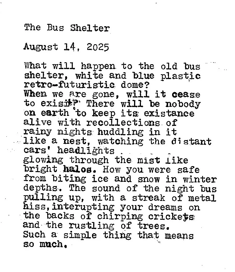 The Bus Shelter