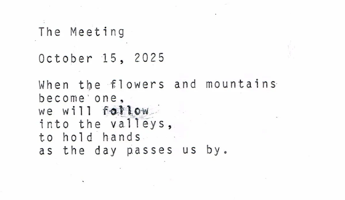 themeeting