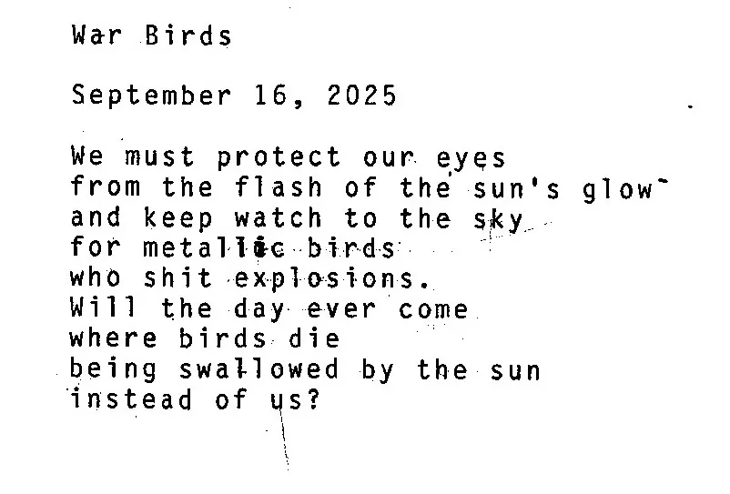 war birds