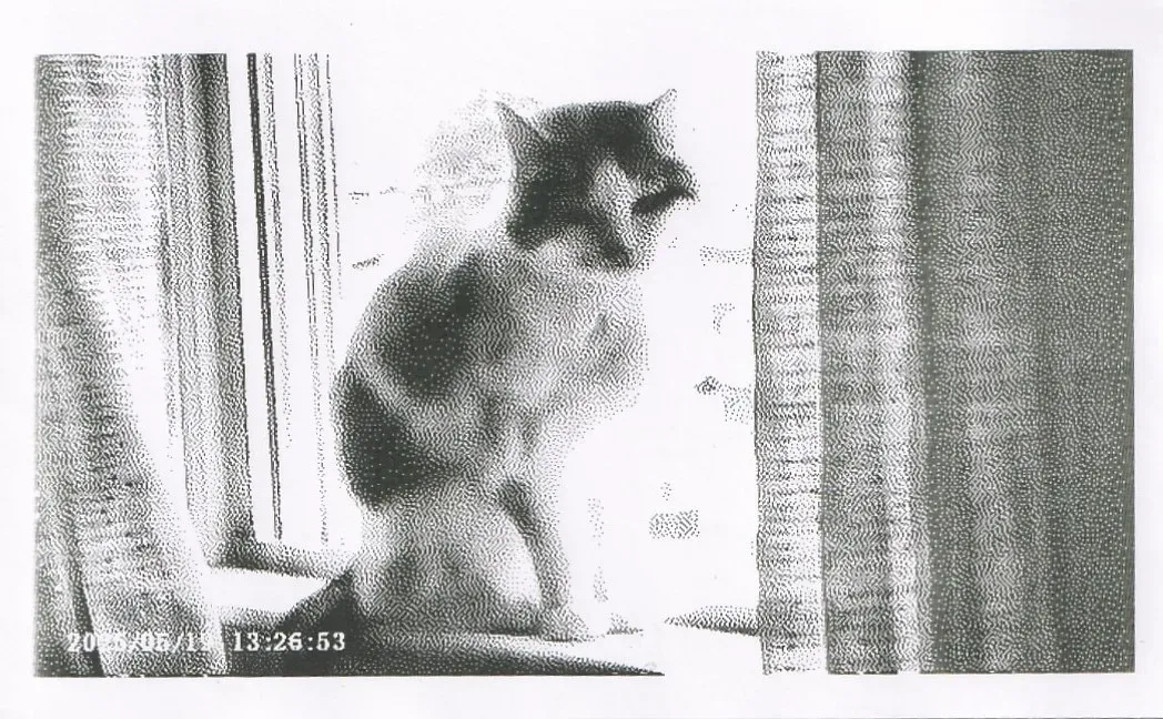 warhol