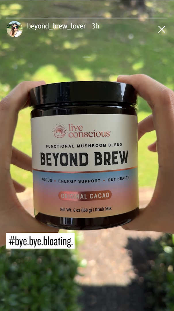 Beyond Brew - Wasted Years