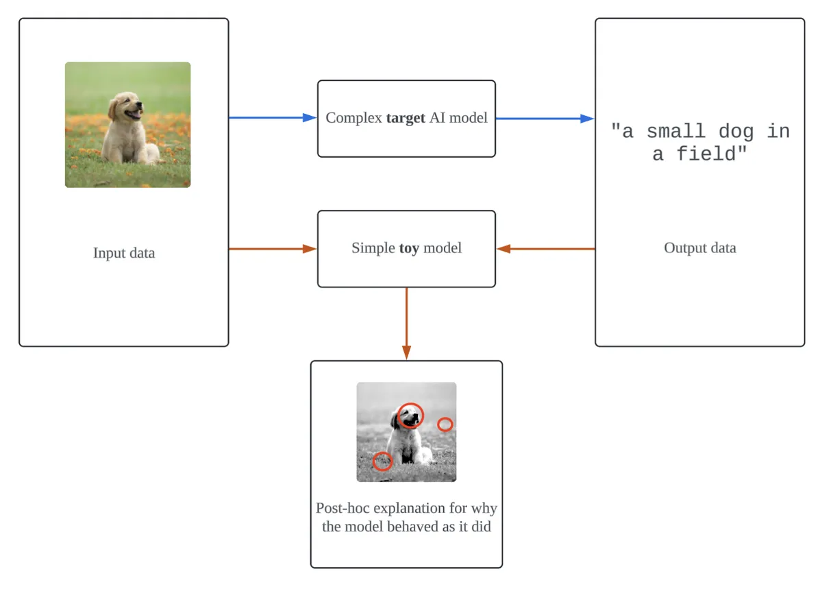 Flowchart showing how toy model represents target model