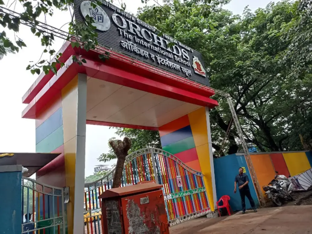 Orchids International